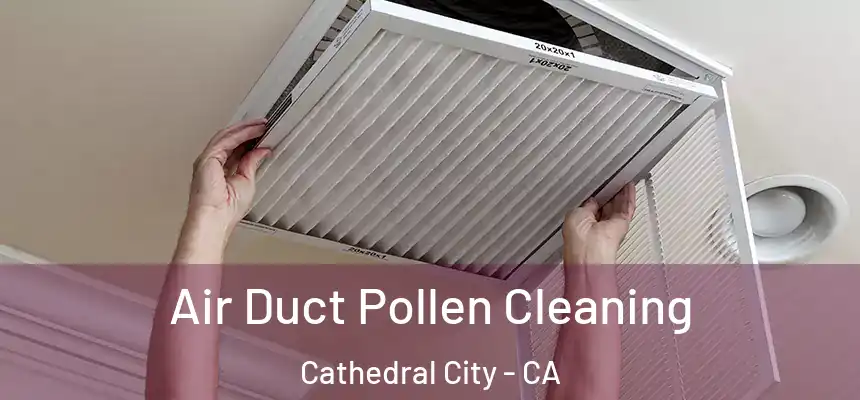  Air Duct Pollen Cleaning Cathedral City - CA