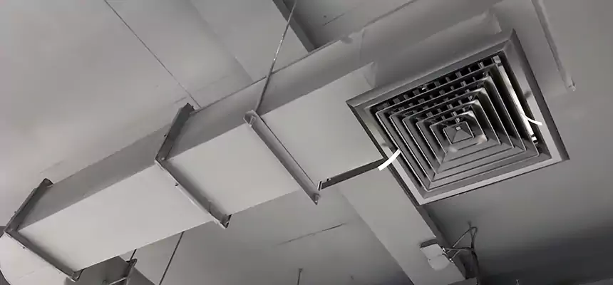 Our Pest Removal From Ducts Services in Cathedral City, CA