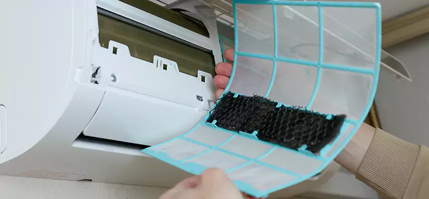 Gentle Ductwork Odor-Control Pet Dander Duct Cleaning in Cathedral City, CA