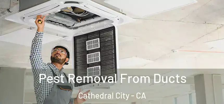  Pest Removal From Ducts Cathedral City - CA
