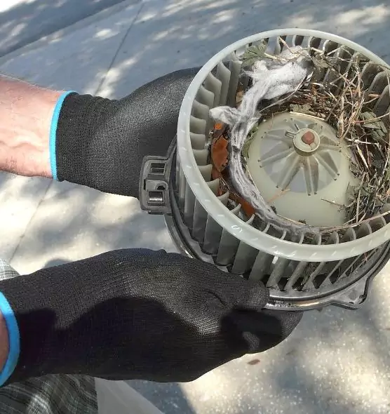 About Air Duct Rat Removal in Cathedral City, CA